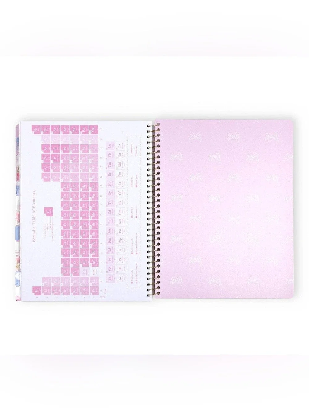 NEW LoveShackFancy x Target Yoobi 2026-2027 Student Planner - Blooming Heirloom